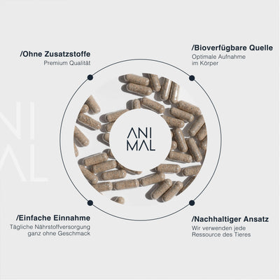 Female Complex - Grass Fed Organs mit Austern EVERSTACK®