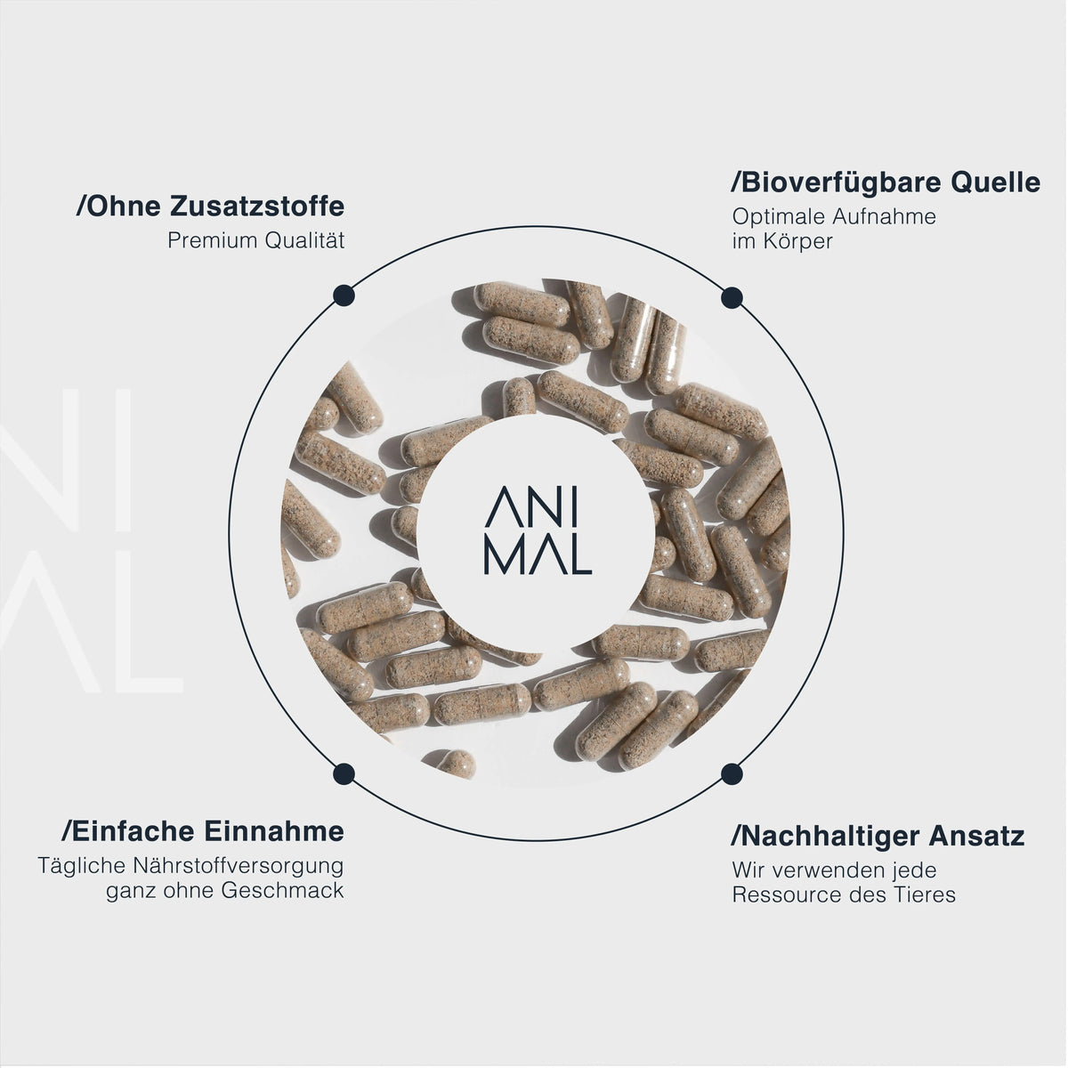 Female Complex - Grass Fed Organs mit Austern EVERSTACK®